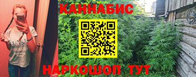ГАЛЛЮЦИНОГЕННЫЕ ГРИБЫ Новозыбков