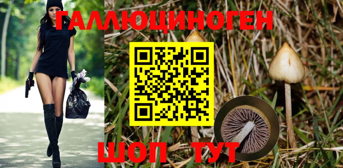 Галлюциногенные грибы Cubensis  Галлюциногенные грибы GOLDEN TEACHER  Вход с VPN  Самара 